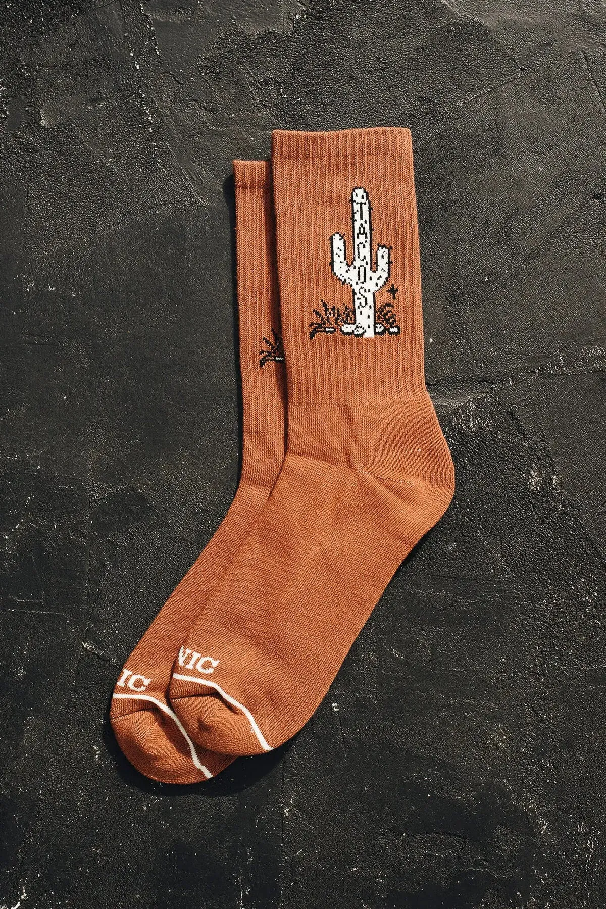 Cactus Taco Socks