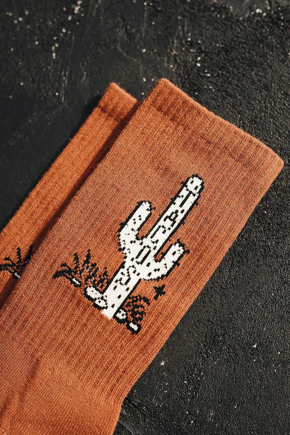 Cactus Taco Socks